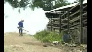 IGEBA TF35 fogging against mosquitos / fumigacion