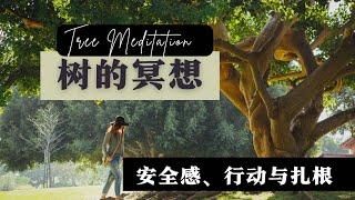 樹的冥想｜十分鐘正念：海底輪，提升安全感与行动力•语音引导冥想•深度放鬆ASMR