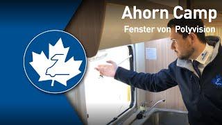 Ahorn Camp - Fenster von Polyvision