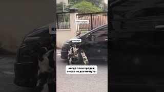 Отговорки при продажах