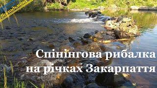 Спінінгова рибалка на річках Закарпаття, день перший