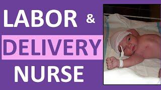Labor and Delivery Nurse Salary | How to Become a Labor & Delivery Nurse