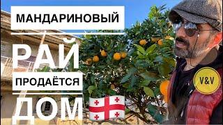 ПРОДАЁТСЯ ДОМ  С УЧАСТКОМ ЗЕМЛИ В АДЖАРИИ  35$ за 1 кв.м . ПОГОДА В ДЕКАБРЕ В ГРУЗИИ #грузия #батуми