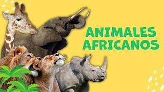 Animales Africanos| ANIMALES DE ÁFRICA | Sonidos de animales para niños | Los animales y sonidos