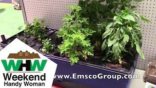 Emsco Group Big City Picker Indoor and Outdoor Planters | Weekend Handy Woman | #EmscoGroup