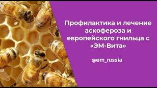 Профилактика и лечение аскофероза и европейского гнильца с "ЭМ-Вита"