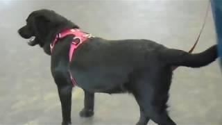 MOV00610