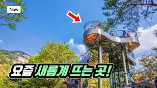 Seoul's New Forest Healing Center and Forest Trekking Course