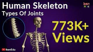 Human Skeleton and Types of Joints | Biology Video | Iken Edu