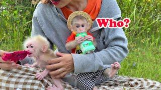 OMG! Lucky Met A Pitiful Baby Monkey - What feelings does Lucky have?