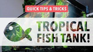 How to set up a TROPICAL AQUARIUM | 132L FISH TANK