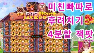 [슬롯][슬롯머신] 더 도그하우스 멀티홀드:The Dog House Multiwold미친빠따형님의 931배 (시청자 제보영상) #슬롯 #슬롯머신 #프라그마틱 #슬롯베어스