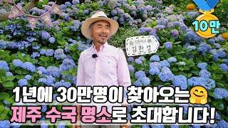 [ SUB ] 아름다워라~ 수국과 함께한 10년 10 Years with Hydrangeas | 정원의 발견 Wonders of Garden | KBS제주20230616방송