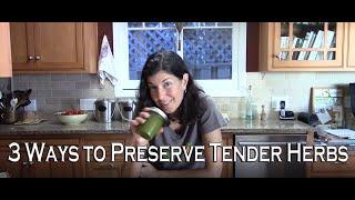 3 Ways to Preserve Tender Herbs - Cilantro, Parsley, and Basil - For Long Lasting Flavor