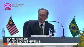 电子电气半导体领域 我国巴西商贸潜力无限【2024.11.18 八度空间华语新闻】