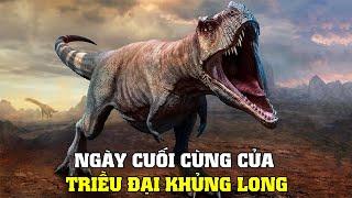 Ngày Cuối Cùng Của Khủng Long | Khám Phá Thế Giới Động Vật Tiền Sử