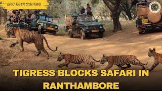 Tigress Riddhi and Her Cubs Block Safari in Ranthambore | Epic Tiger Sightings!