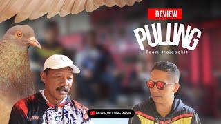 REVIEW PULUNG Boyong Juara Berturut - turut Dari Team MAJAPAHIT Pekalongan