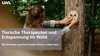 LWL-Psychiatrie: Tierische Therapeuten und Entspannung im Wald