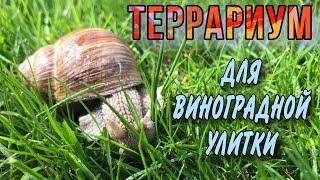 Террариум для виноградной улитки 