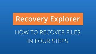 Recovery Explorer Professional: data recovery in 4 steps