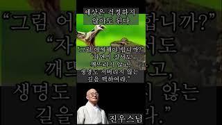 세상은 걱정하지 않아도 된다 - 진우스님의 오늘의 명상