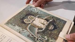 History of Animation