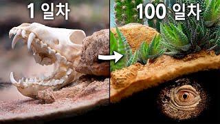 100일간의 아프리카 시뮬레이션