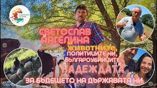 Защо работни и кадърни хора разпродават козите си? България ще се оправи след смяна на политиците ни