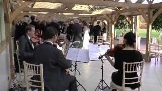 One Day Like this, Elbow - Capital String Quartet, live recording of Brides wedding entrance.