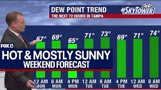 Tampa weather | Hot & mostly sunny