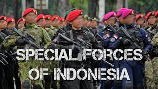 Pasukan Khusus Indonesia - 2024 - Special Forces of Indonesia