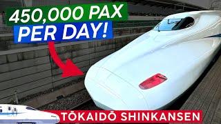 Japan's BUSIEST Bullet Train · TOKAIDO SHINKANSEN  Tokyo  Fuji  Better Green Car vs. Ordinary!