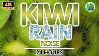 Mind Numbing Kiwi Rain Noise | 24 Hours BLACK SCREEN | Study, Sleep, Tinnitus Relief & Focus