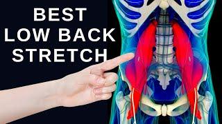 #1 Best Low Back Stretch for Lower Back Pain Relief