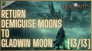 Hogwarts Legacy Return Demiguise Moons to Gladwin Moon