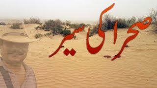 cholistan desert | desert in rahim yar khan | Rana Ashfaq Desi | rohi | | Desi Vlogger |