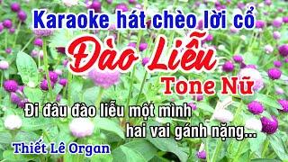 Đào Liễu Karaoke Hát Chèo - Chèo Lời Cổ Hay Tone Nữ - Thiết Lê Organ