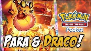 DEDENNE and DRAGONITE SLEEP, PARA and DRACO! | Pokemon TCG Pocket