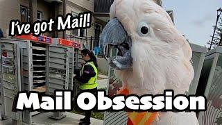 Max Sweet Talks the Mail Lady and Does A Special Mail Dance (subtitles)