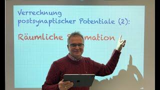 Verrechnung postsynaptischer Potentiale (2): Räumliche Summation (2022)