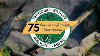 Back To Tennessee - 75 Years Of Wildlife Conservation