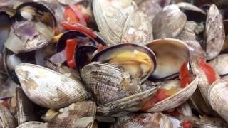 Belfair State Park & Bremerton WA USA