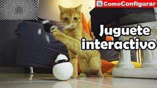 Juguetes Electrónicos para Gatos Online - Accesorios para gatos Parte 5