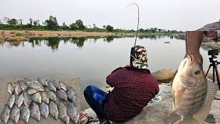 Best Tilapia fishing | Tilapia Fishing Techniques | Fishing videos in hindi | Fishing Vlogger