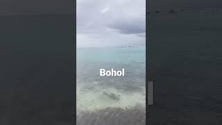 Neverending January in Bohol, Philippines | Youtube Short