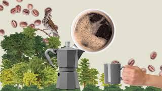 Live Bird Friendly: Drink Bird Friendly® Coffee to Protect Disappearing Habitats