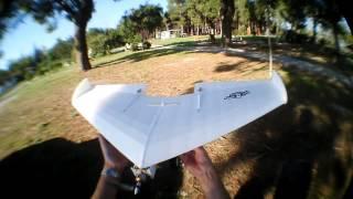 FT versa wing, maiden flight of my very first build. Some flyby's and landings