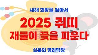 2025띠별운세 새해 희망을 전해드립니다 내사주 내가 보는 공부하는 곳 #사주명리 #사주 #교육 #명리학 #운세 #자기계발