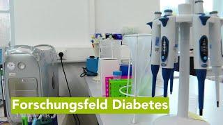 Wirtschaftsfenster M-V: Institut für Diabetes forscht an Testplattform von Zellaktivitäten